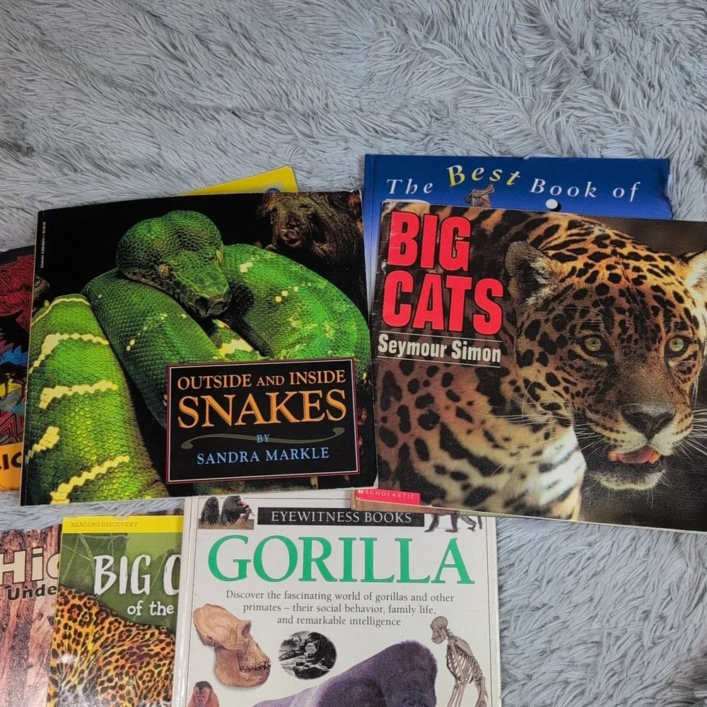 Random Lot of 20 Children Books‎ Animals Homeschool Gorilla Bears Cats